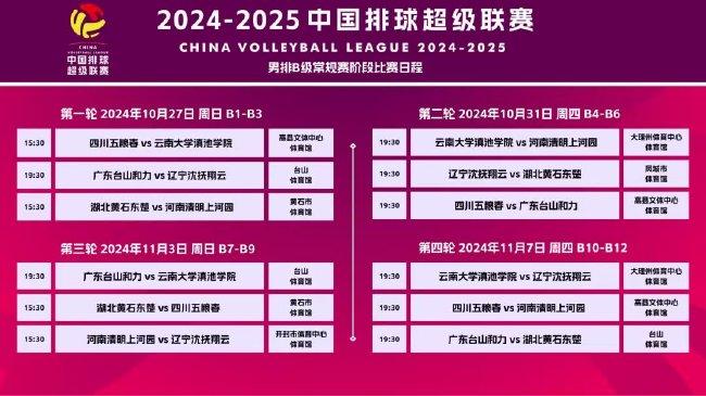 2024新澳天天正版资料大全详解