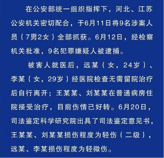 澳门正版资料全年免费看，一个违法犯罪问题的探讨