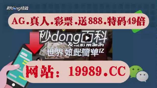 2024澳门天天开彩正版免费资料|精选解释解析落实