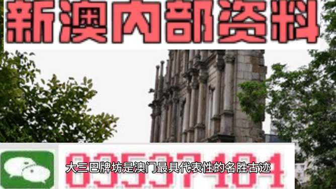 澳门最精准资料免费公开|精选解释解析落实