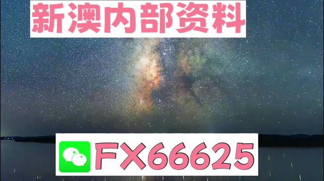 2024年新澳天天开彩最新资料|精选解释解析落实