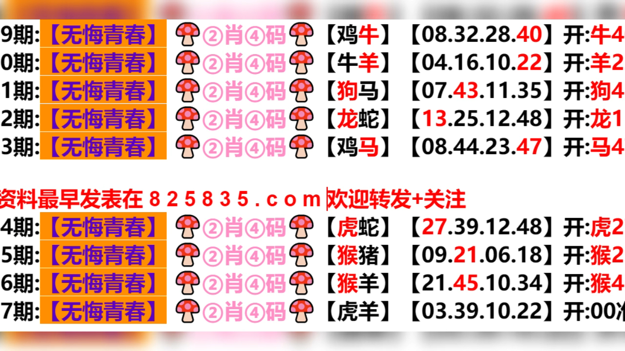 2024新澳门天天开好彩大全孔的五伏|精选解释解析落实