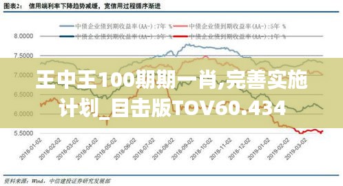 王中王一肖100%中|精选解释解析落实